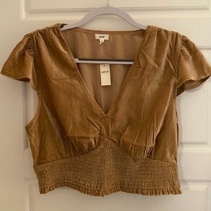 Aerie V-Neck Velvet Top